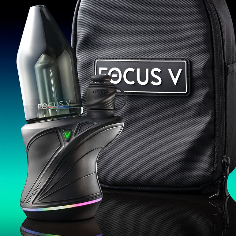 Focus V Carta Sport